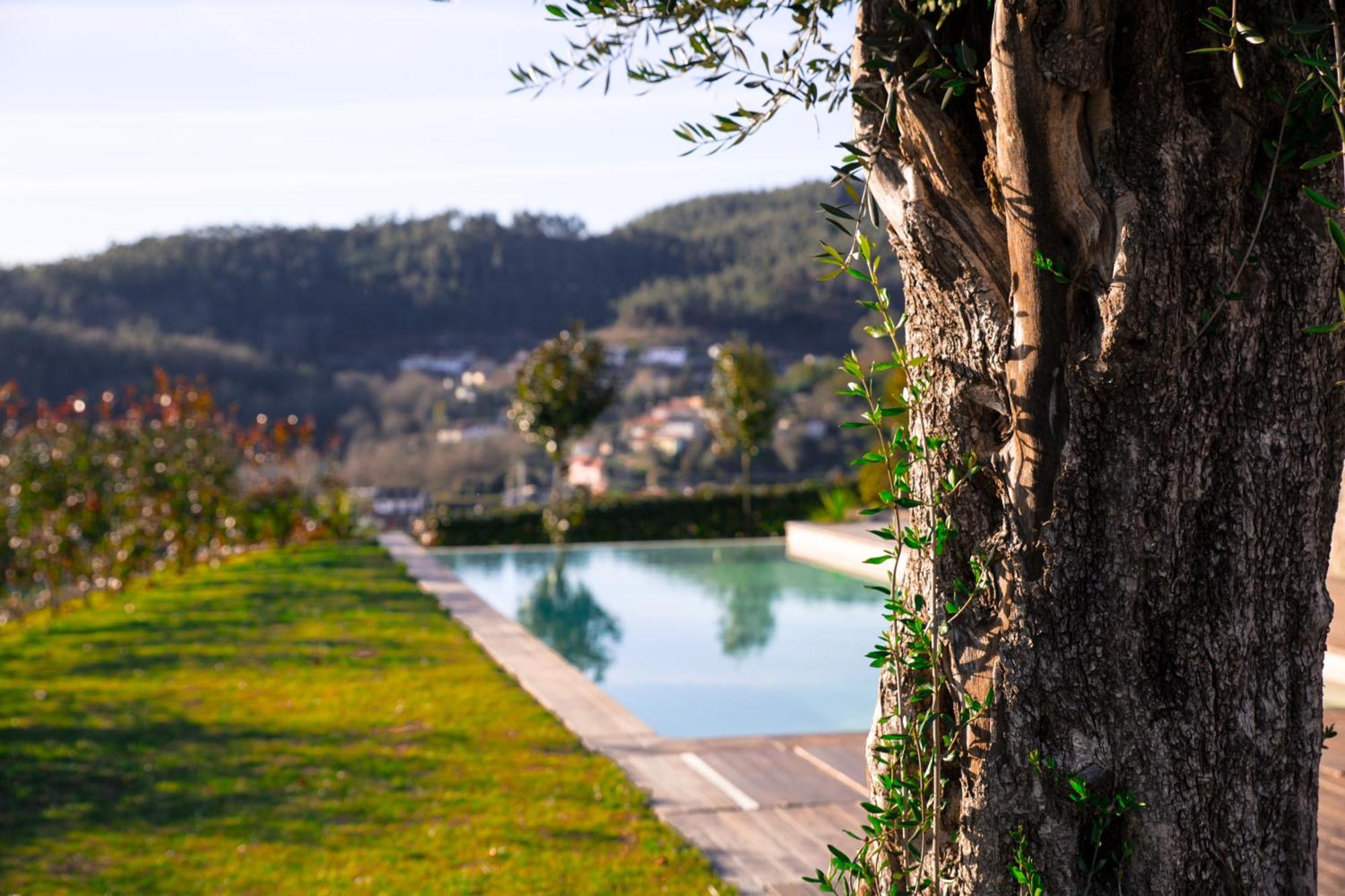 Villa Quinta Da Mouta Vieira do Minho Exterior foto